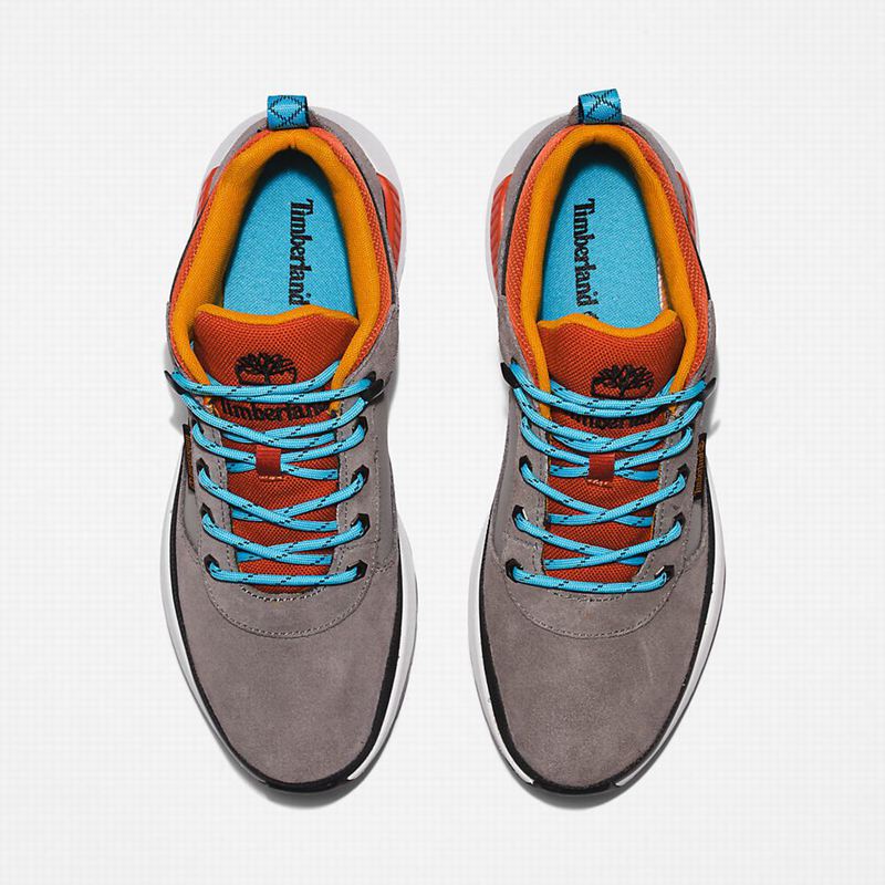 Timberland Field Planinarske Cipele Sive | 65082568