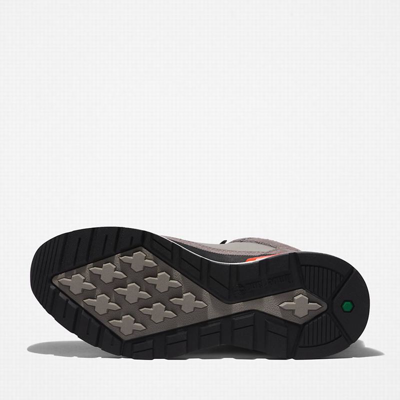 Timberland Field Planinarske Cipele Sive | 65082568