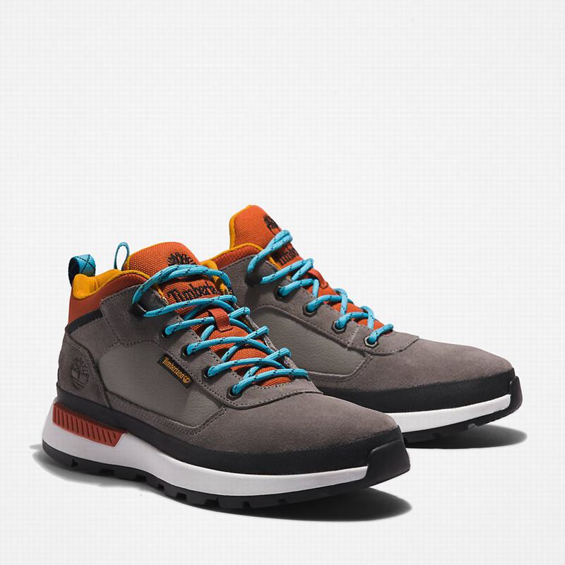 Timberland Field Planinarske Cipele Sive | 65082568