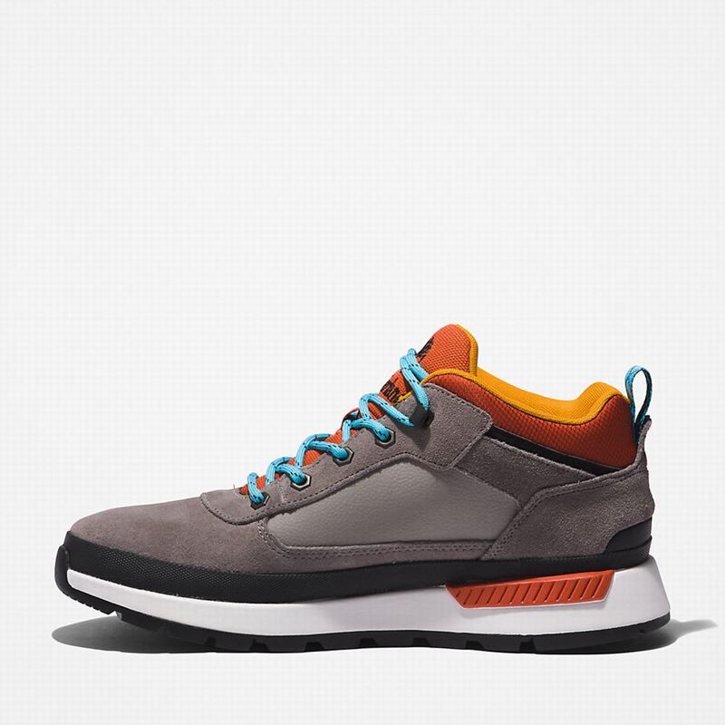 Timberland Field Planinarske Cipele Sive | 65082568