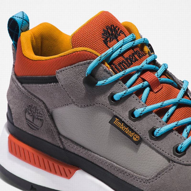 Timberland Field Planinarske Cipele Sive | 65082568