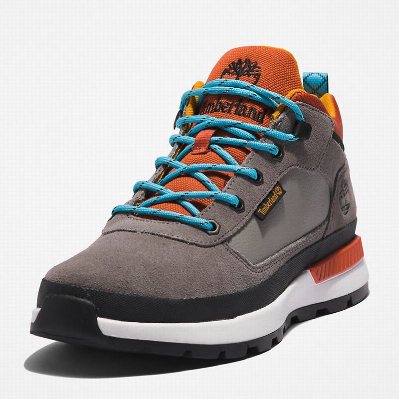 Timberland Field Planinarske Cipele Sive | 65082568