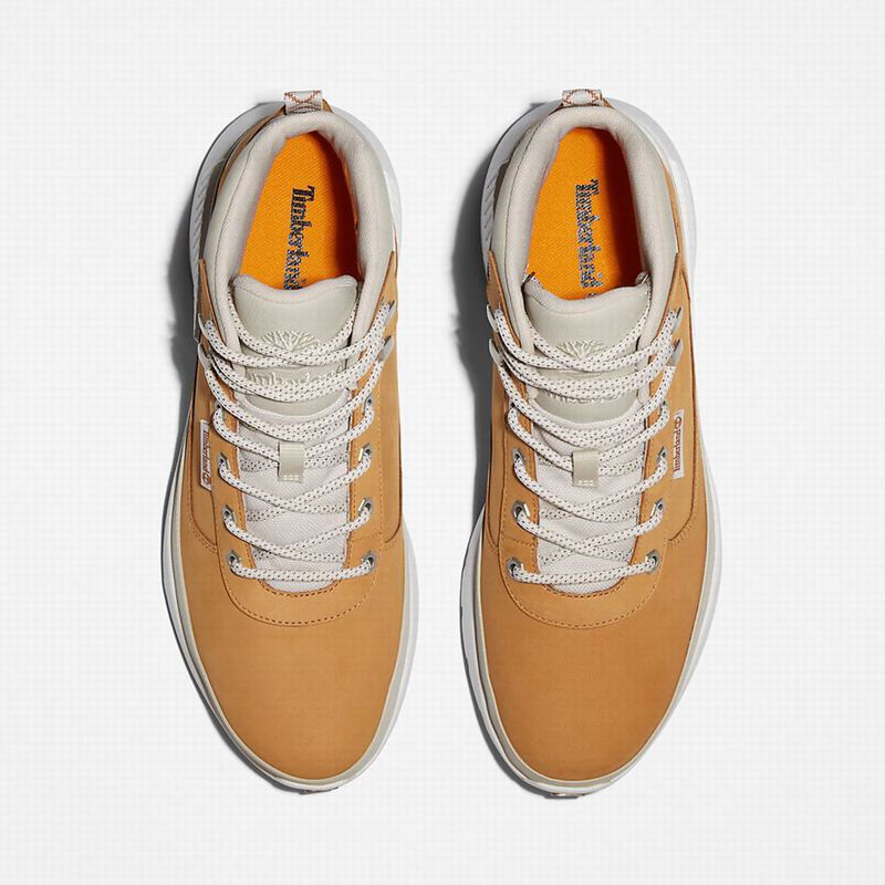 Timberland Field Planinarske Cipele Smeđe | 34698050