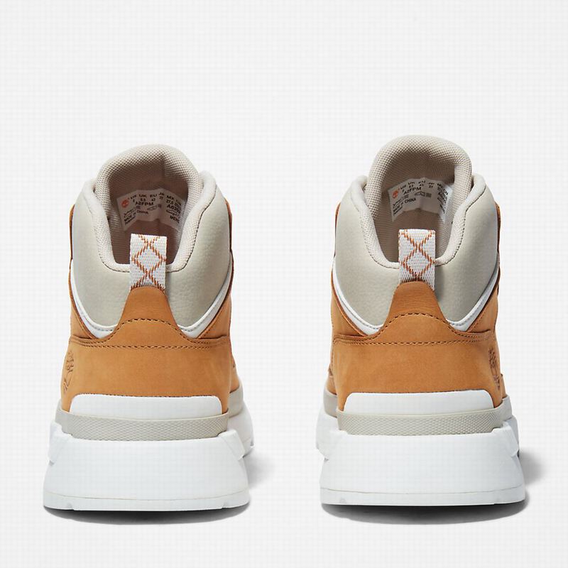 Timberland Field Planinarske Cipele Smeđe | 34698050