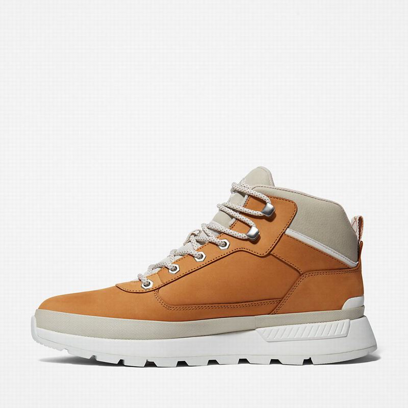 Timberland Field Planinarske Cipele Smeđe | 34698050