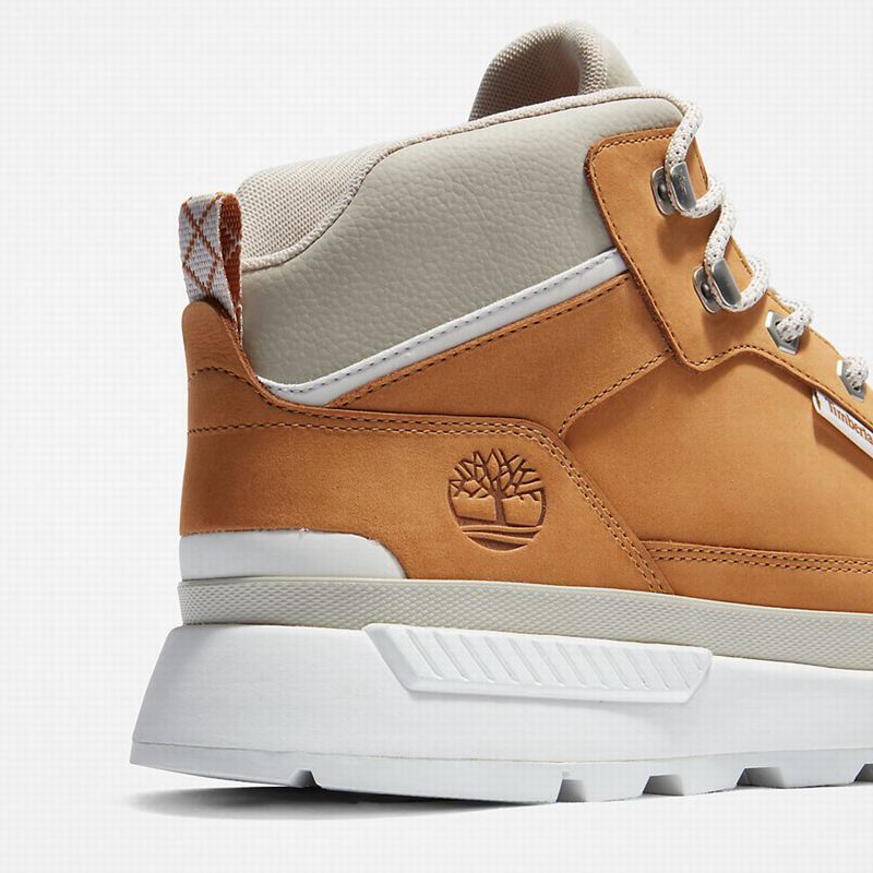 Timberland Field Planinarske Cipele Smeđe | 34698050