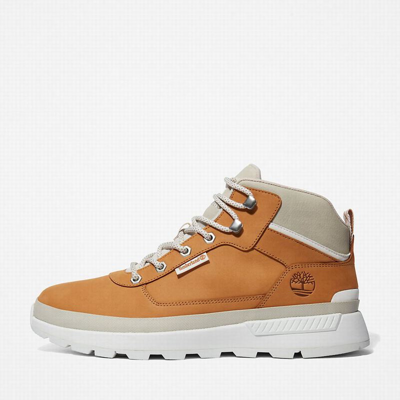 Timberland Field Planinarske Cipele Smeđe | 34698050