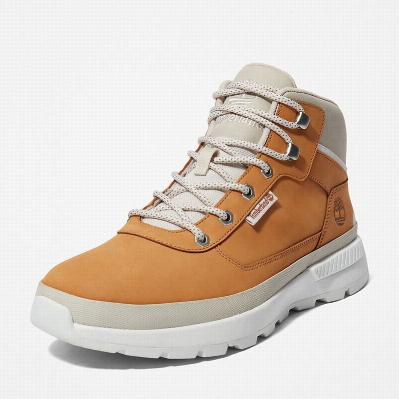 Timberland Field Planinarske Cipele Smeđe | 34698050