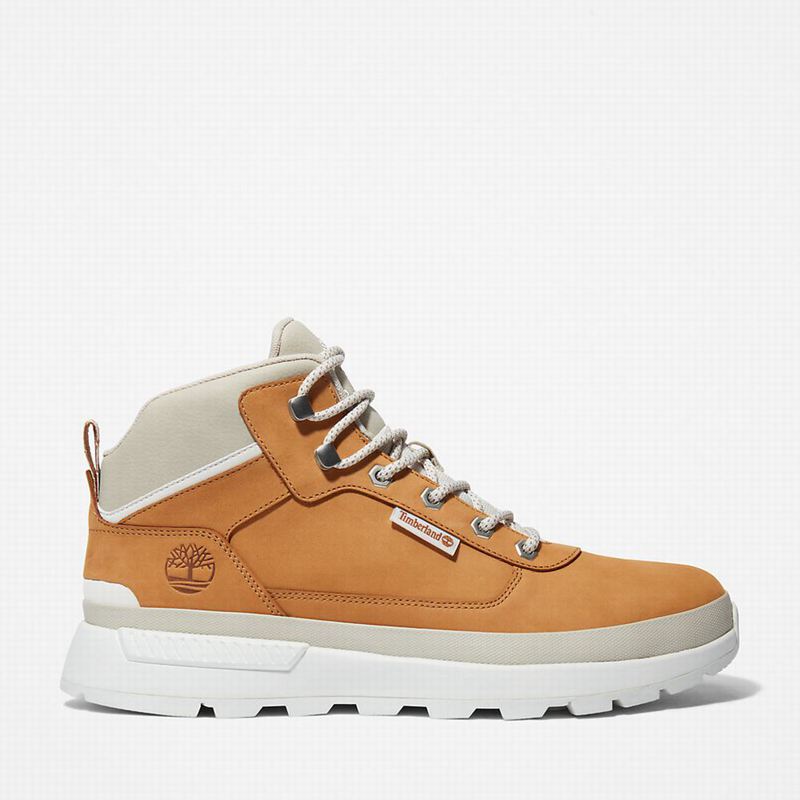 Timberland Field Planinarske Cipele Smeđe | 34698050