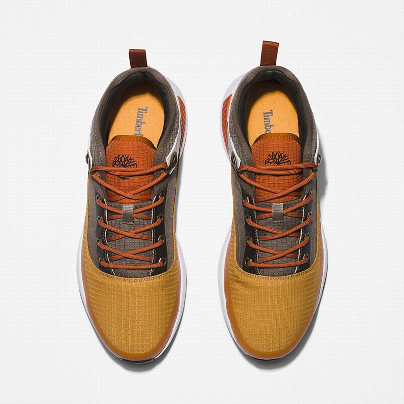 Timberland Field Ripstop Planinarske Cipele Smeđe | 14238579
