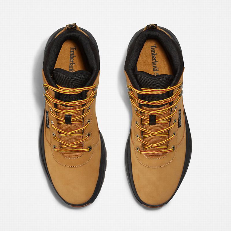 Timberland Field Trekker Chukka Čizme Žute | 15713928