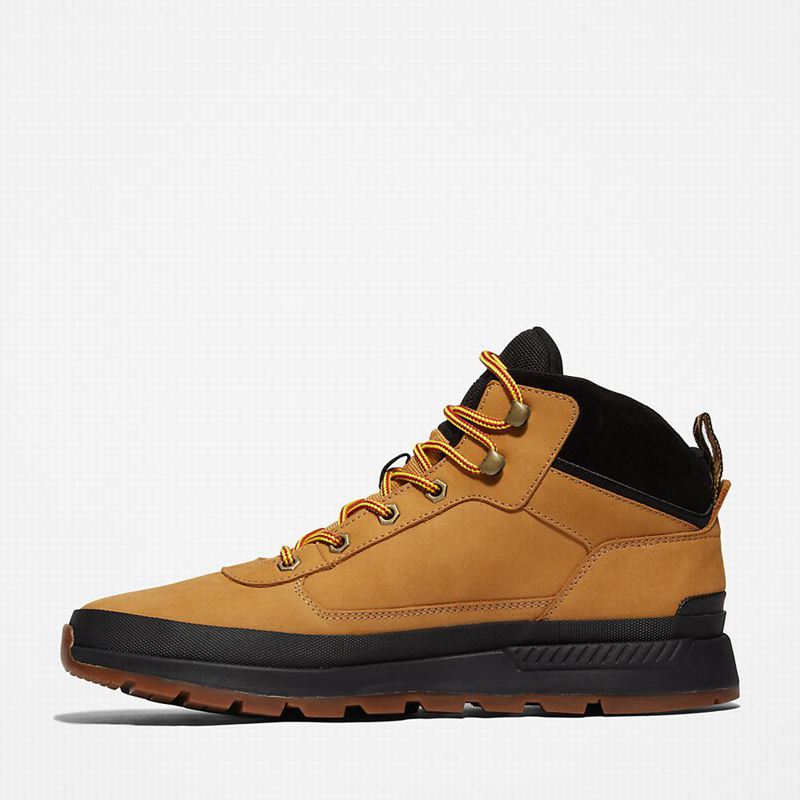 Timberland Field Trekker Chukka Čizme Žute | 15713928