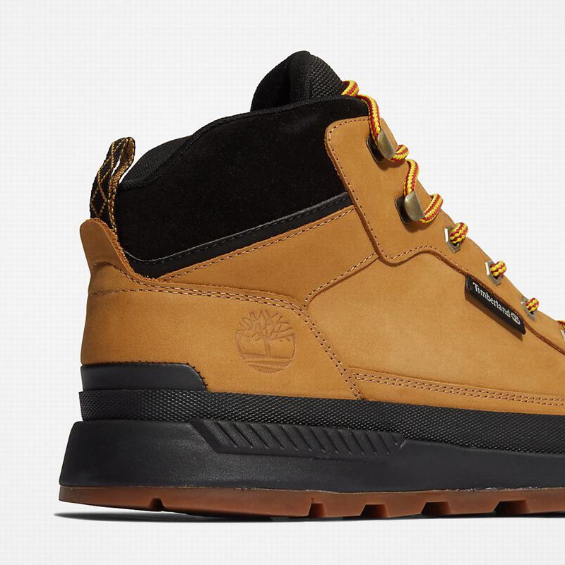 Timberland Field Trekker Chukka Čizme Žute | 15713928