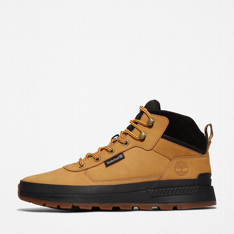 Timberland Field Trekker Chukka Čizme Žute | 15713928