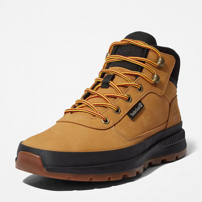Timberland Field Trekker Chukka Čizme Žute | 15713928