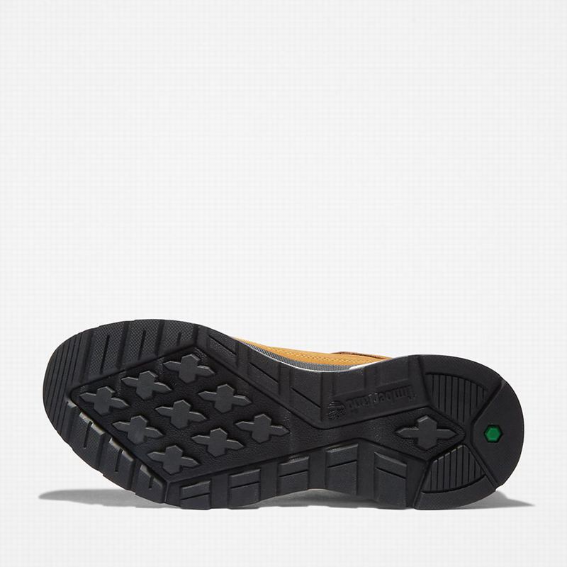 Timberland Field Trekker Low Hiker Tenisice Žute | 60835371