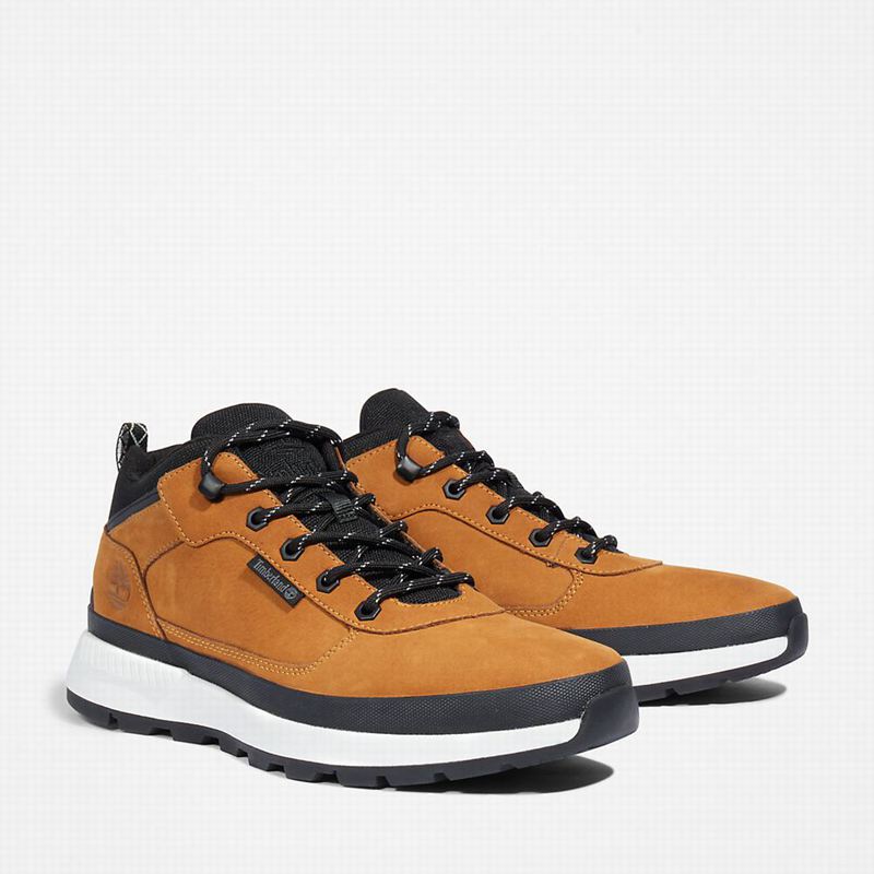 Timberland Field Trekker Low Hiker Tenisice Žute | 60835371