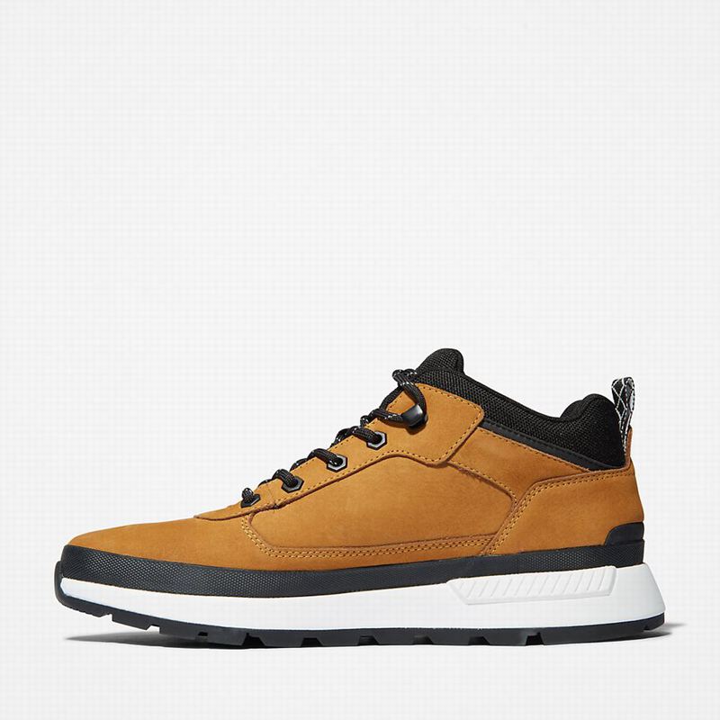 Timberland Field Trekker Low Hiker Tenisice Žute | 60835371