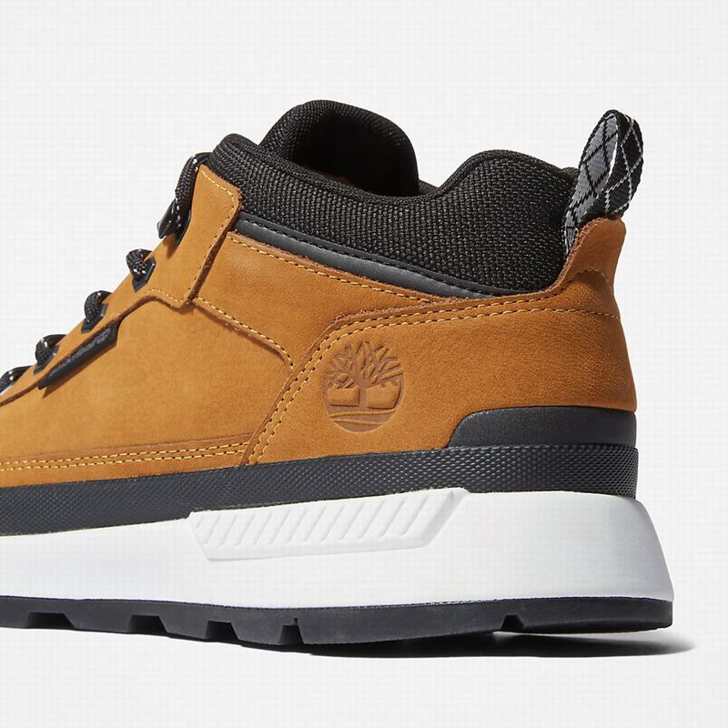 Timberland Field Trekker Low Hiker Tenisice Žute | 60835371
