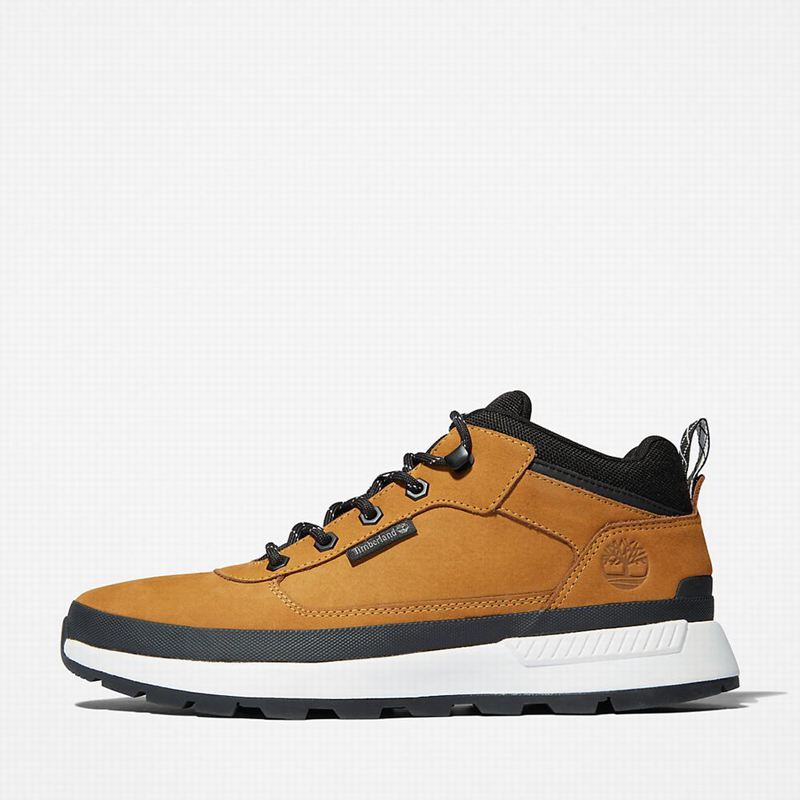 Timberland Field Trekker Low Hiker Tenisice Žute | 60835371