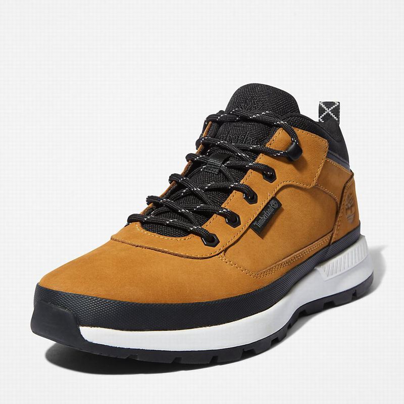 Timberland Field Trekker Low Hiker Tenisice Žute | 60835371