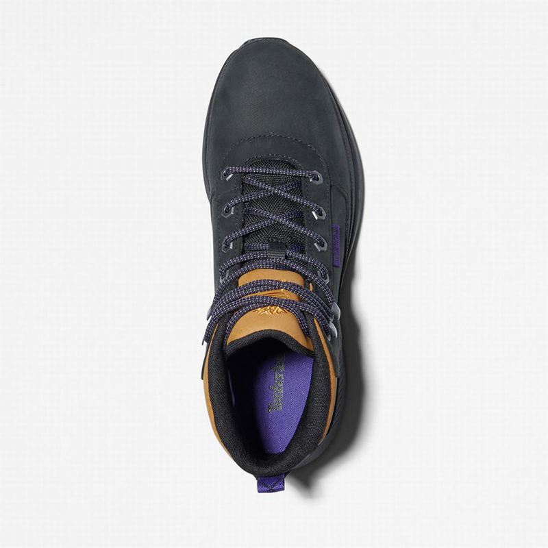 Timberland Field Trekker Tenisice Crne | 3396116