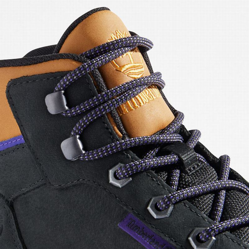 Timberland Field Trekker Tenisice Crne | 3396116