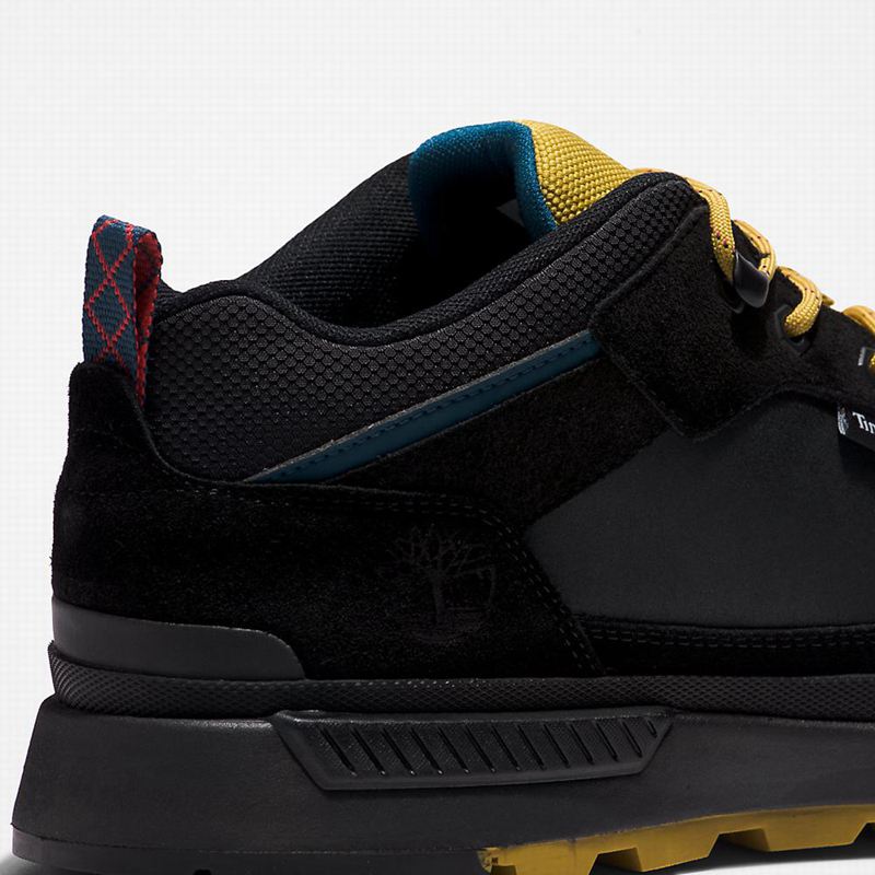 Timberland Field Trekker Tenisice Crne | 8582634