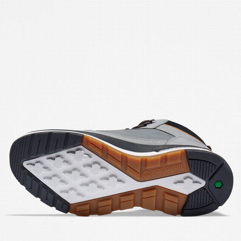 Timberland Field Trekker Tenisice Sive | 11618655