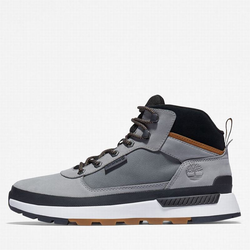 Timberland Field Trekker Tenisice Sive | 11618655