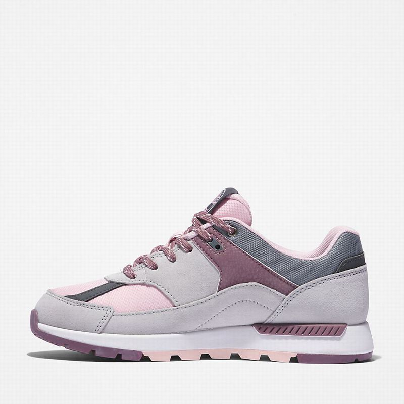 Timberland Field Trekker Tenisice Sive | 25685479