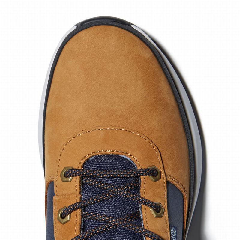 Timberland Field Trekker Tenisice Smeđe | 44694999