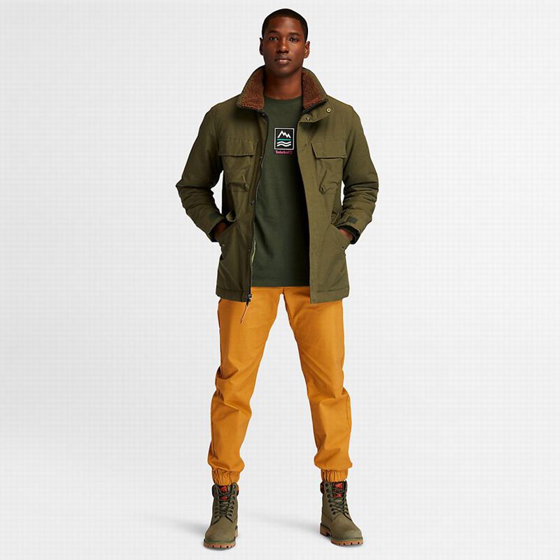 Timberland Field Trip Outdoor Jakne Maslinasto Zelene | 84561471