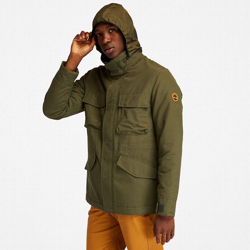Timberland Field Trip Outdoor Jakne Maslinasto Zelene | 84561471
