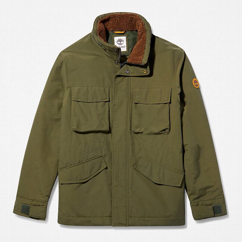 Timberland Field Trip Outdoor Jakne Maslinasto Zelene | 84561471