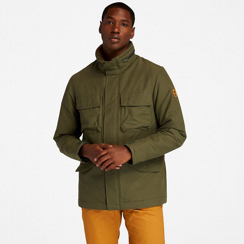 Timberland Field Trip Outdoor Jakne Maslinasto Zelene | 84561471