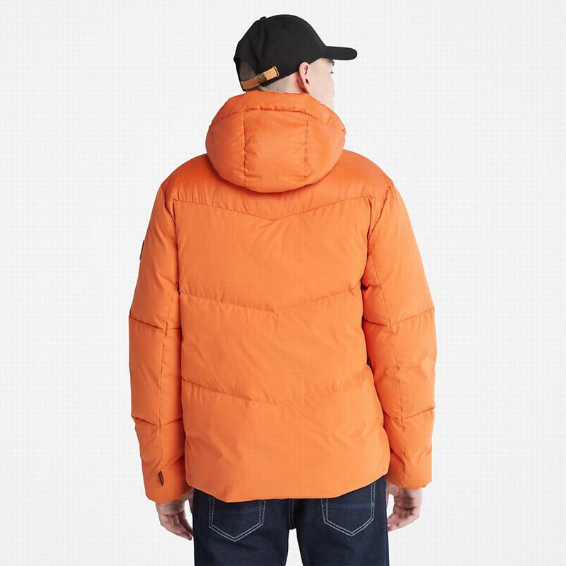 Timberland Field Trip Reversible Zimske Jakne Narančaste | 44646080