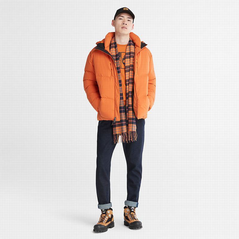 Timberland Field Trip Reversible Zimske Jakne Narančaste | 44646080