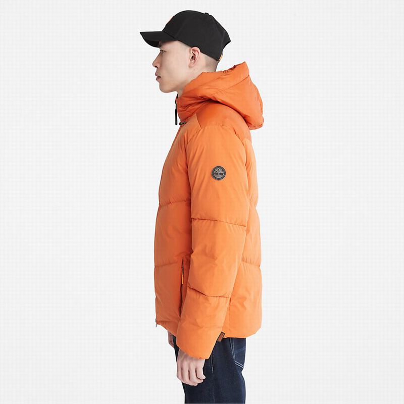 Timberland Field Trip Reversible Zimske Jakne Narančaste | 44646080