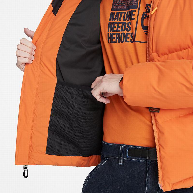 Timberland Field Trip Reversible Zimske Jakne Narančaste | 44646080