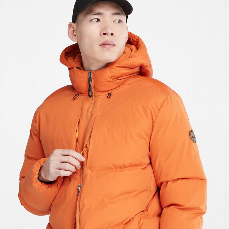 Timberland Field Trip Reversible Zimske Jakne Narančaste | 44646080