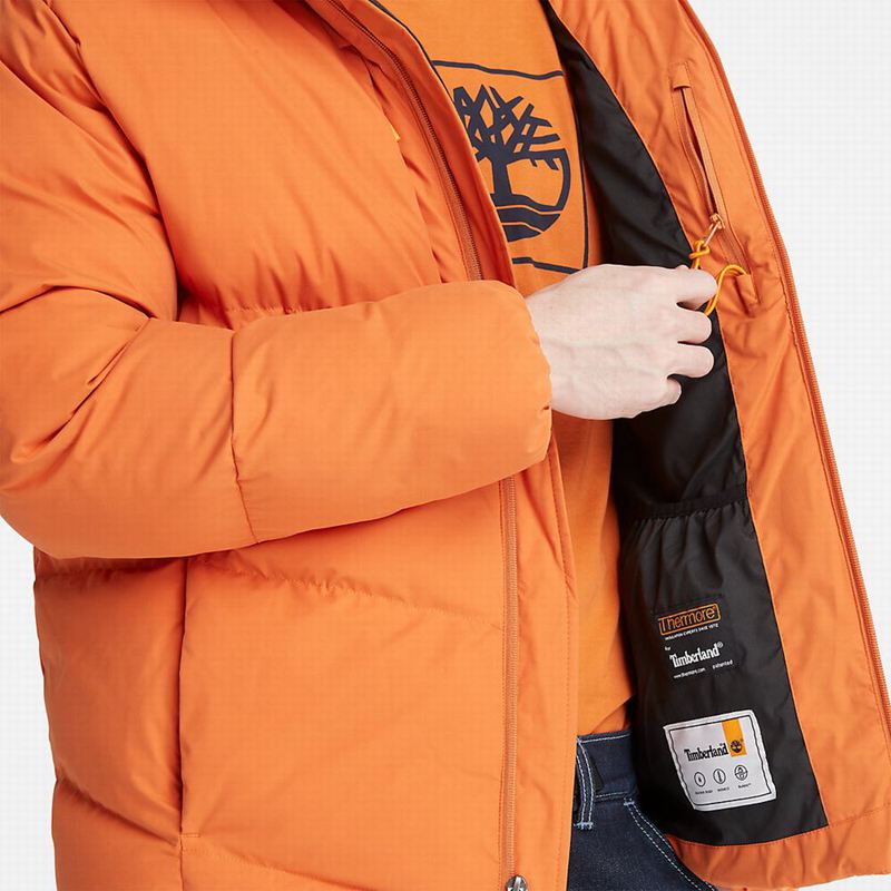 Timberland Field Trip Reversible Zimske Jakne Narančaste | 44646080