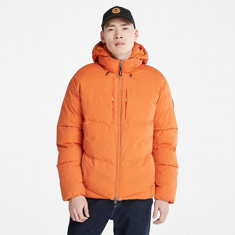 Timberland Field Trip Reversible Zimske Jakne Narančaste | 44646080