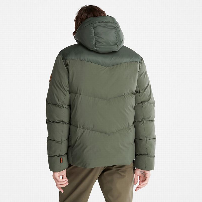 Timberland Fleece Overshirt Zimske Jakne Maslinasto Zelene | 3263987