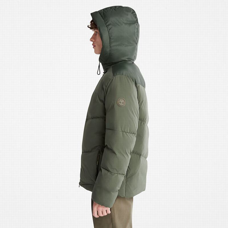 Timberland Fleece Overshirt Zimske Jakne Maslinasto Zelene | 3263987