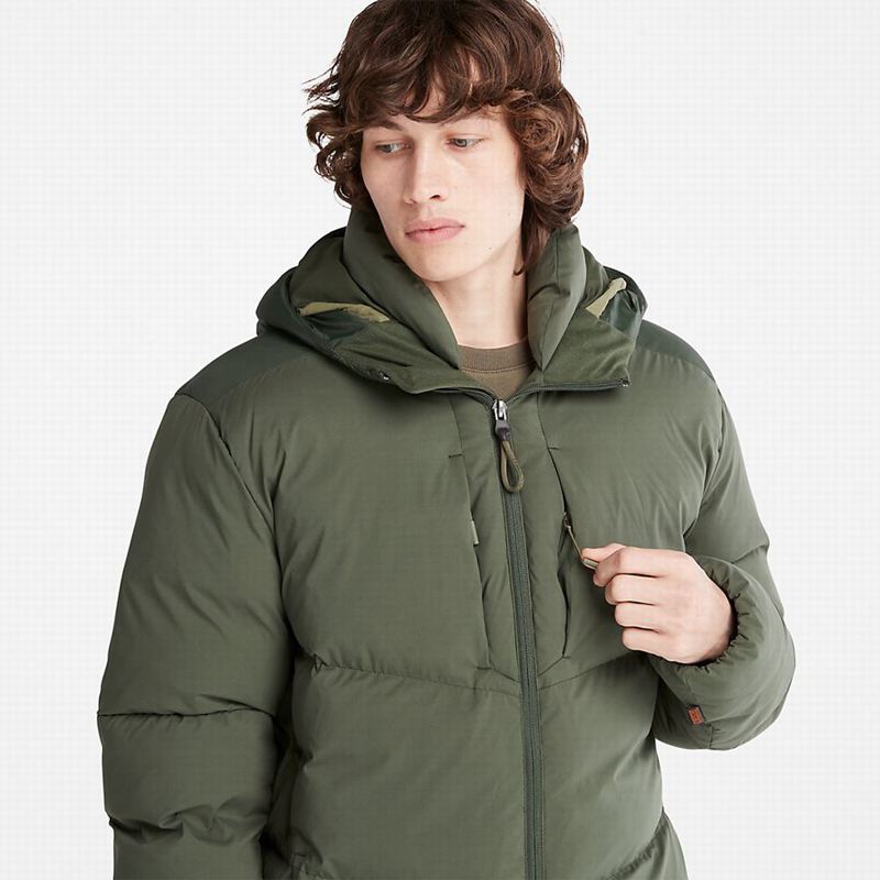 Timberland Fleece Overshirt Zimske Jakne Maslinasto Zelene | 3263987