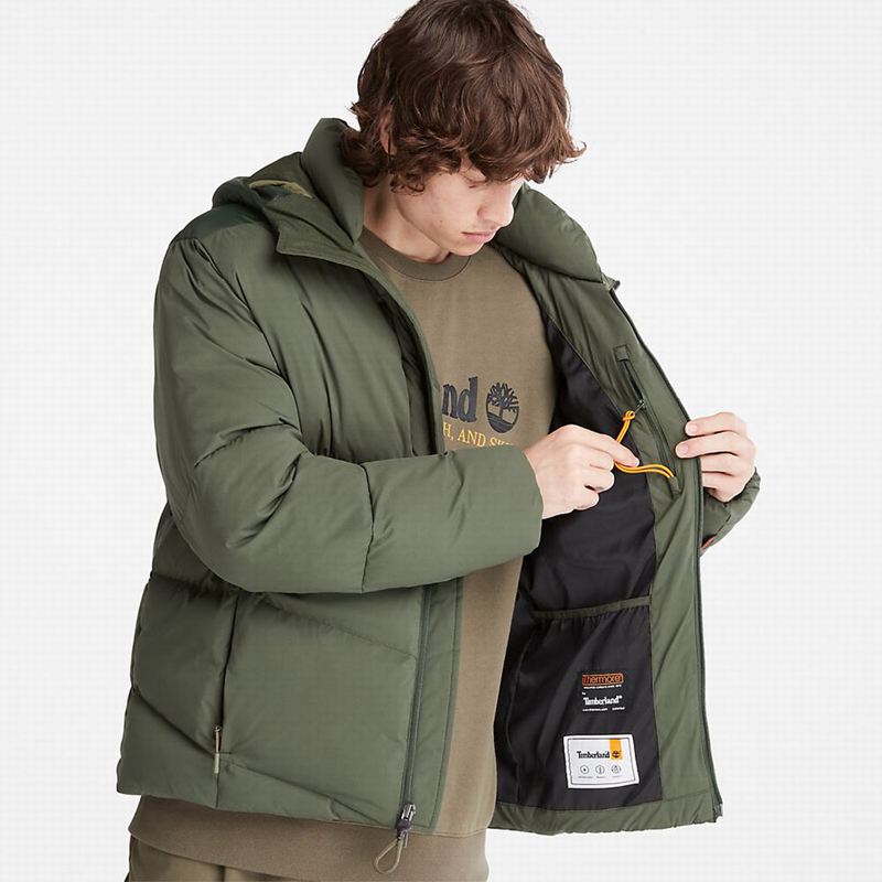 Timberland Fleece Overshirt Zimske Jakne Maslinasto Zelene | 3263987
