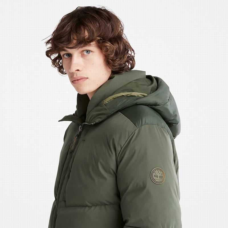 Timberland Fleece Overshirt Zimske Jakne Maslinasto Zelene | 3263987