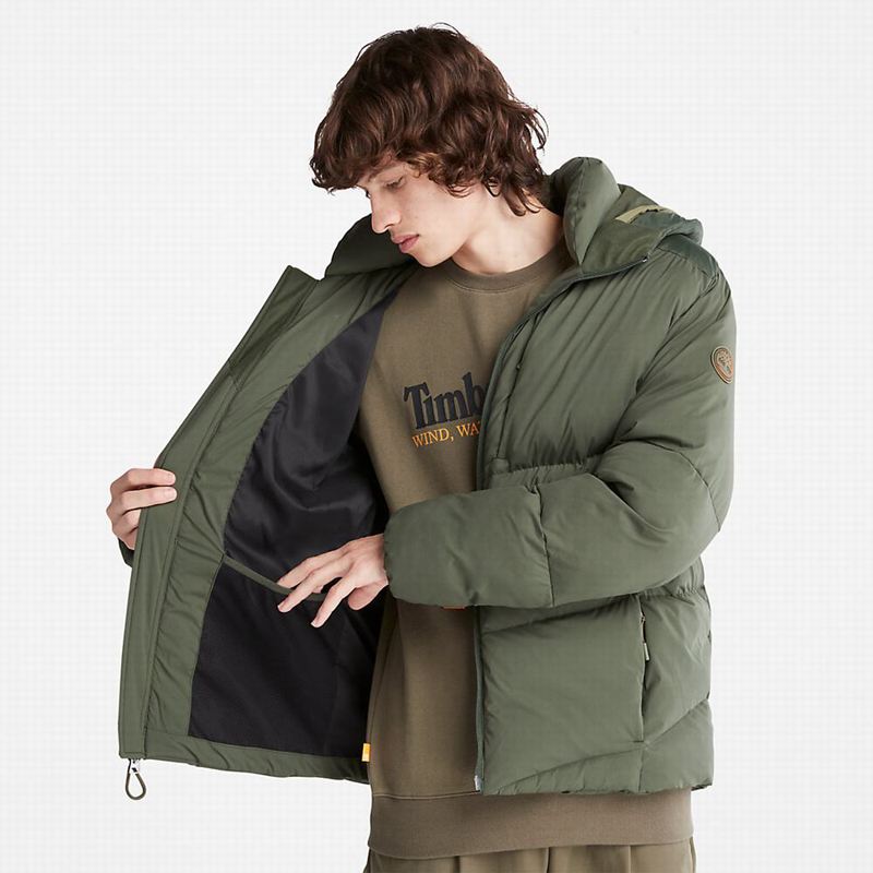 Timberland Fleece Overshirt Zimske Jakne Maslinasto Zelene | 3263987