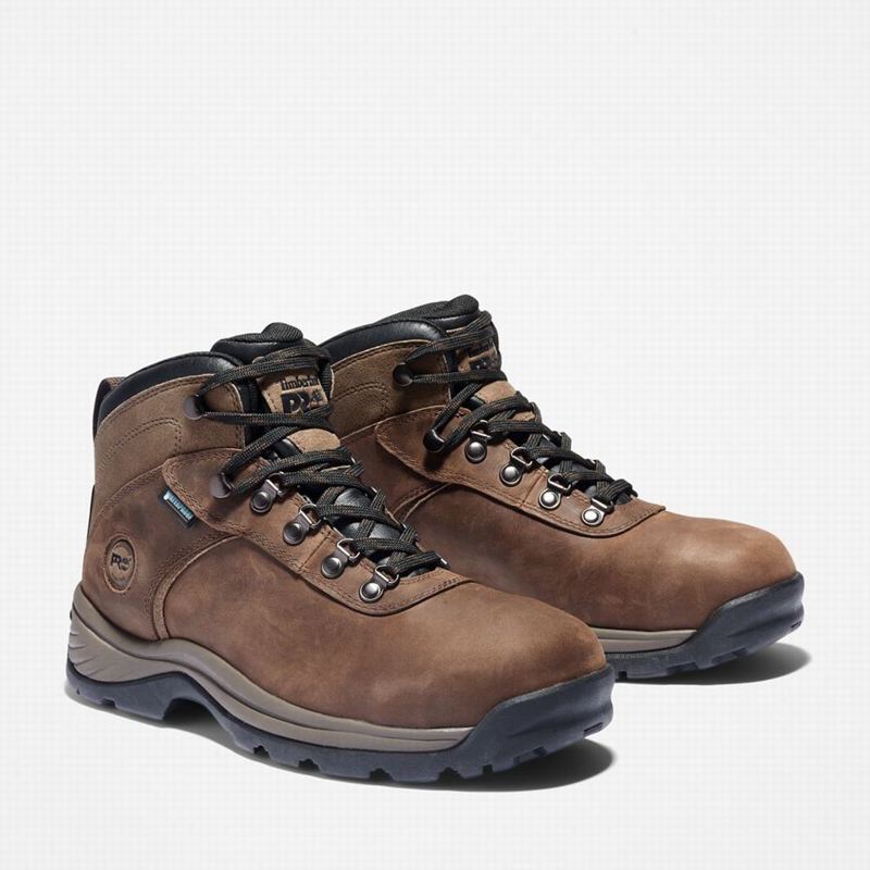 Timberland Flume Steel Toe Waterproof Radne Čizme Smeđe | 93513205